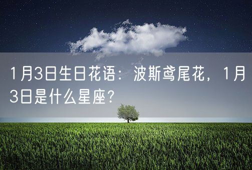 1月3日生日花语：波斯鸢尾花，1月3日是什么星座？(图1)