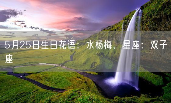 5月25日生日花语：水杨梅，星座：双子座(图1)