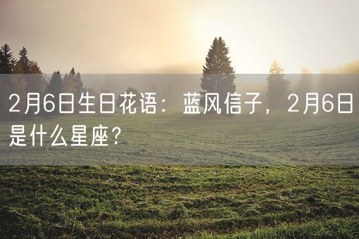 2月6日生日花语：蓝风信子，2月6日是什么星座？(图1)