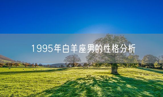 1995年白羊座男的性格分析(图1)