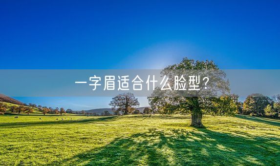 一字眉适合什么脸型？(图1)