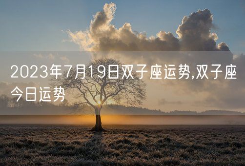 2023年7月19日双子座运势,双子座今日运势(图1)