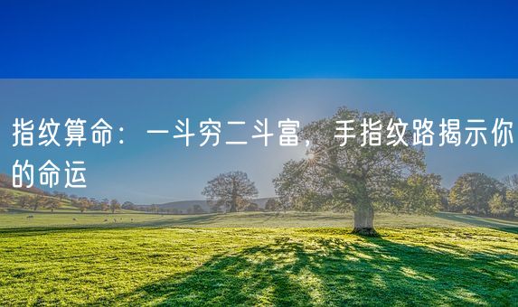 指纹算命：一斗穷二斗富，手指纹路揭示你的命运(图1)