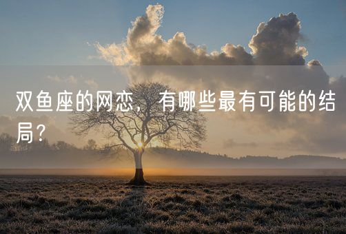 双鱼座的网恋，有哪些最有可能的结局？(图1)