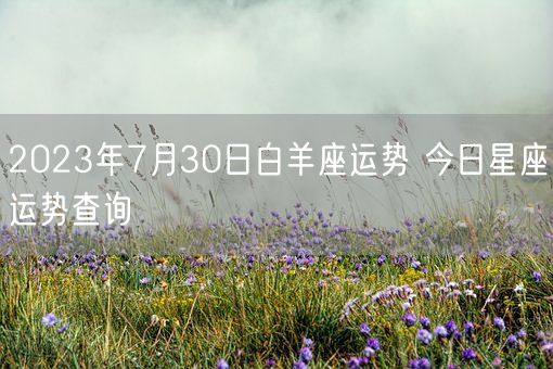 2023年7月30日白羊座运势 今日星座运势查询(图1)