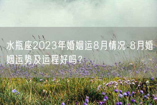 水瓶座2023年婚姻运8月情况 8月婚姻运势及运程好吗？(图1)