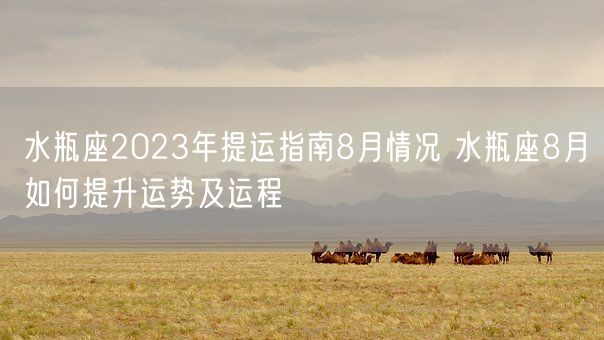 水瓶座2023年提运指南8月情况 水瓶座8月如何提升运势及运程(图1)