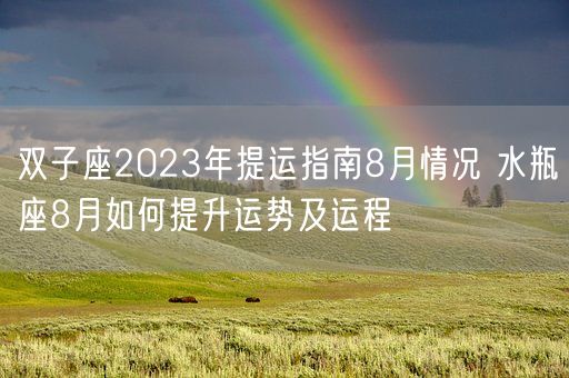 双子座2023年提运指南8月情况 水瓶座8月如何提升运势及运程(图1)