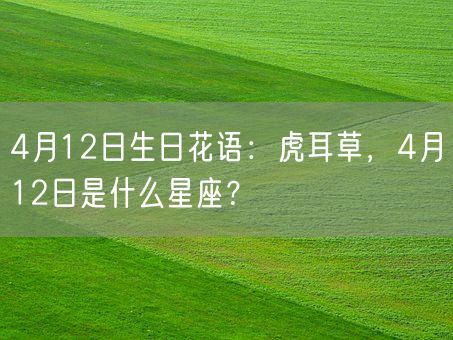 4月12日生日花语：虎耳草，4月12日是什么星座？(图1)