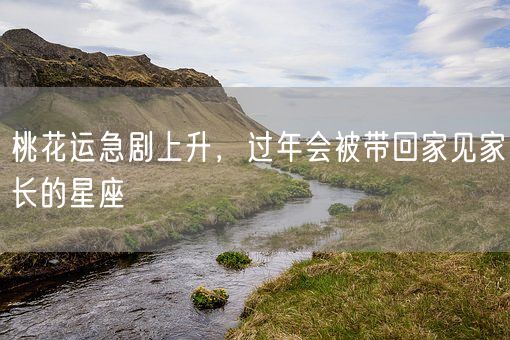 桃花运急剧上升，过年会被带回家见家长的星座(图1)