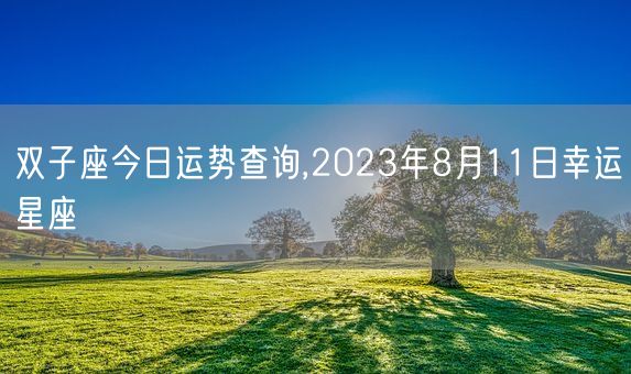 双子座今日运势查询,2023年8月11日幸运星座(图1)