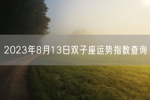 2023年8月13日双子座运势指数查询(图1)