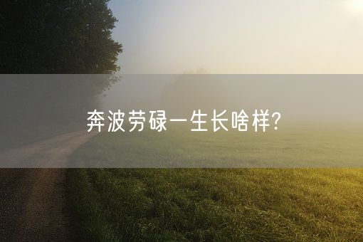 奔波劳碌一生长啥样?(图1)