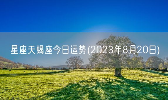 星座天蝎座今日运势(2023年8月20日) (图1)