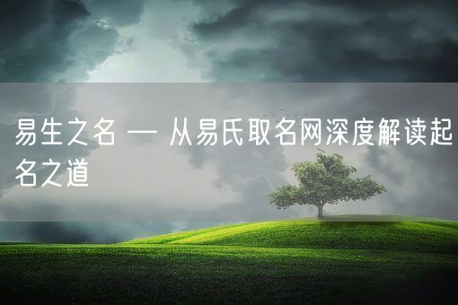 易生之名 — 从易氏取名网深度解读起名之道(图1)