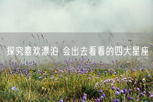 探究喜欢漂泊 会出去看看的四大星座(图1)