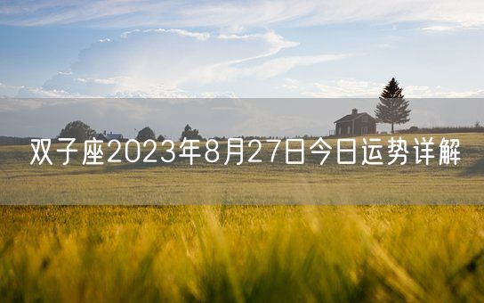 双子座2023年8月27日今日运势详解(图1)