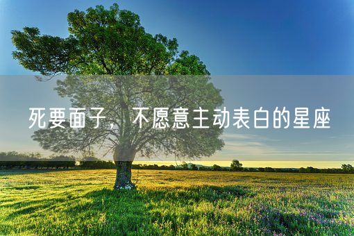 死要面子，不愿意主动表白的星座(图1)