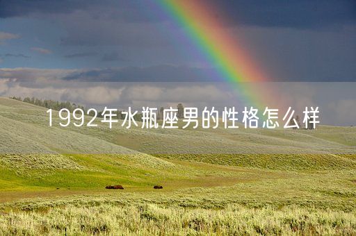 1992年水瓶座男的性格怎么样(图1)
