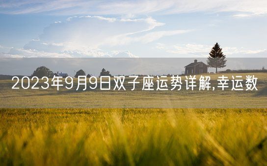 2023年9月9日双子座运势详解,幸运数(图1)