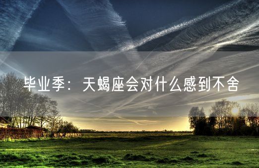 毕业季：天蝎座会对什么感到不舍(图1)