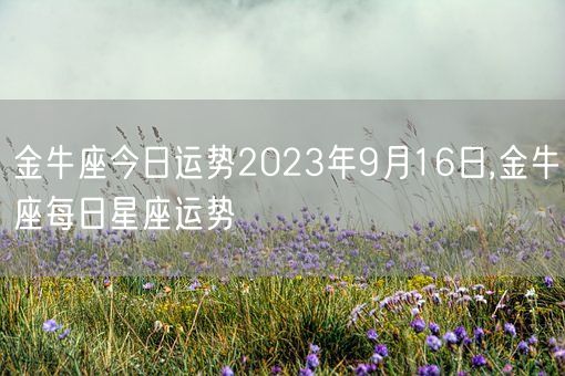 金牛座今日运势2023年9月16日,金牛座每日星座运势(图1)