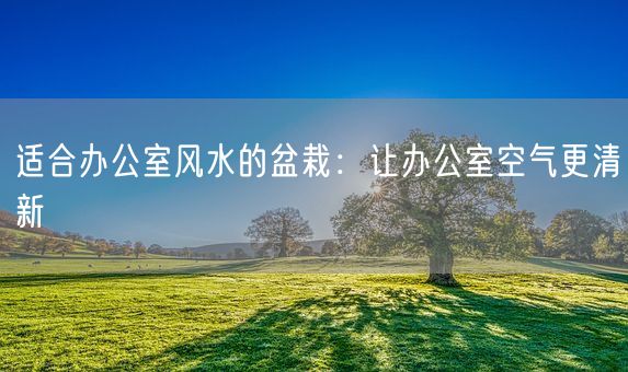 适合办公室风水的盆栽：让办公室空气更清新(图1)