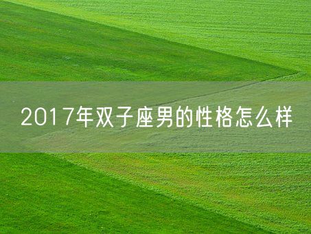 2017年双子座男的性格怎么样(图1)