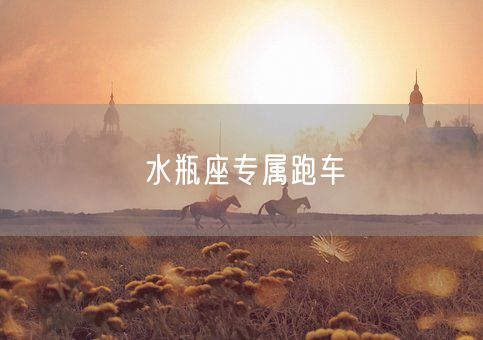 水瓶座专属跑车(图1)