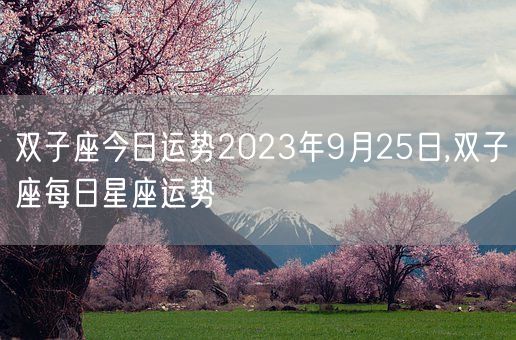 双子座今日运势2023年9月25日,双子座每日星座运势(图1)