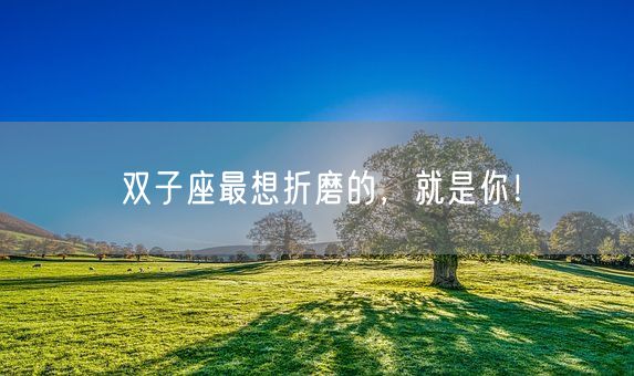 双子座最想折磨的，就是你！(图1)