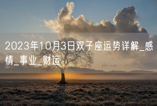 2023年10月3日双子座运势详解_感情_事业_财运(图1)