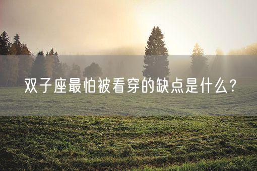 双子座最怕被看穿的缺点是什么？(图1)