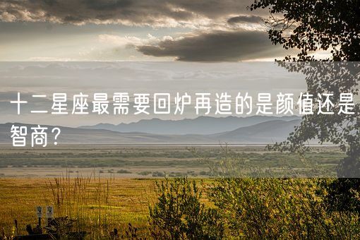 十二星座最需要回炉再造的是颜值还是智商？(图1)
