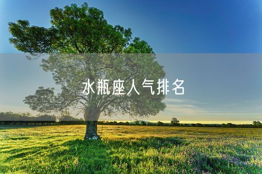 水瓶座人气排名(图1)