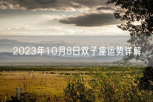 2023年10月8日双子座运势详解(图1)