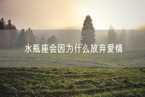 水瓶座会因为什么放弃爱情(图1)