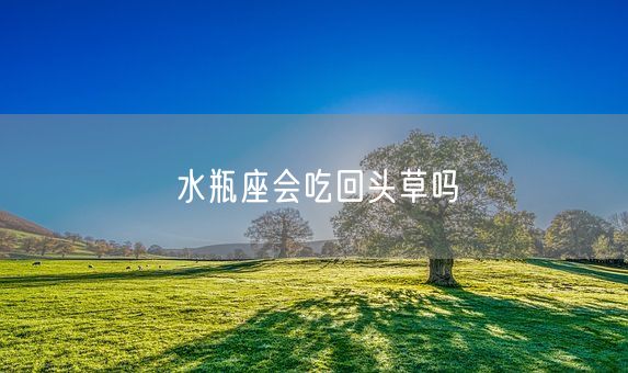 水瓶座会吃回头草吗(图1)