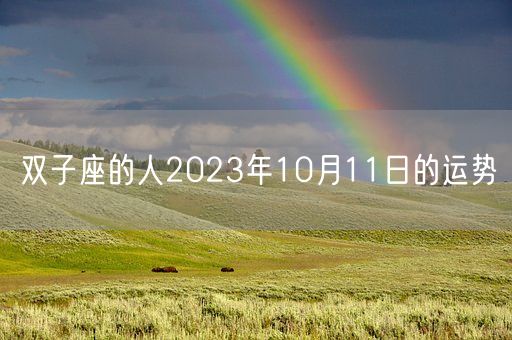 双子座的人2023年10月11日的运势(图1)