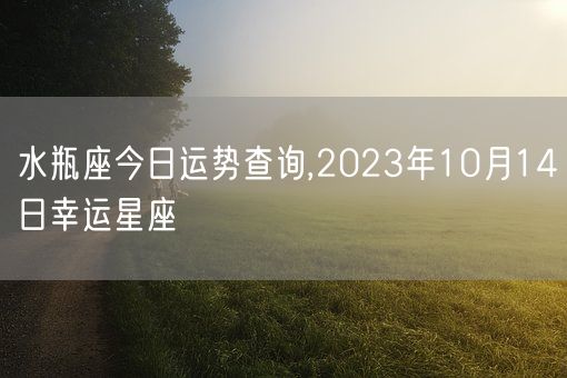 水瓶座今日运势查询,2023年10月14日幸运星座(图1)