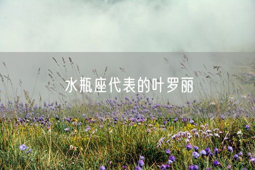 水瓶座代表的叶罗丽(图1)