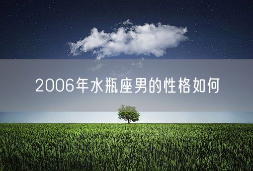 2006年水瓶座男的性格如何(图1)