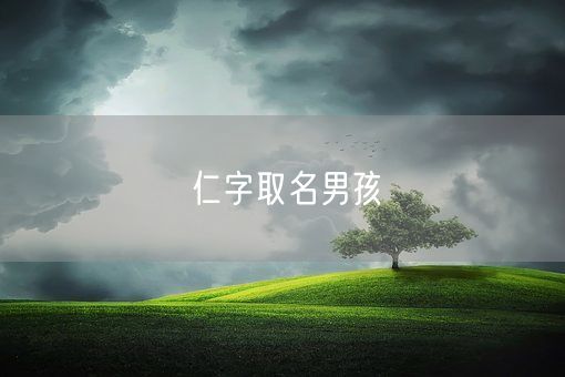 仁字取名男孩(图1)