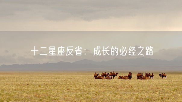 十二星座反省：成长的必经之路(图1)