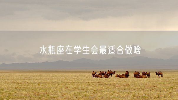 水瓶座在学生会最适合做啥(图1)