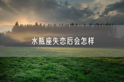 水瓶座失恋后会怎样(图1)