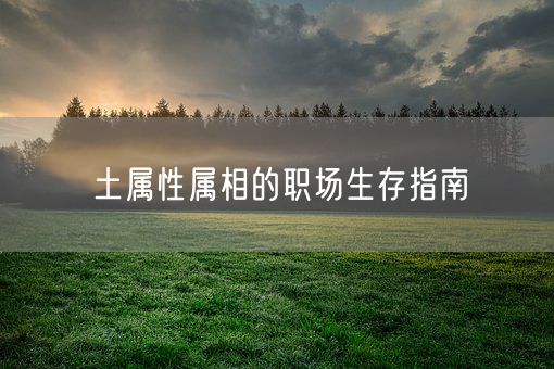 土属性属相的职场生存指南(图1)