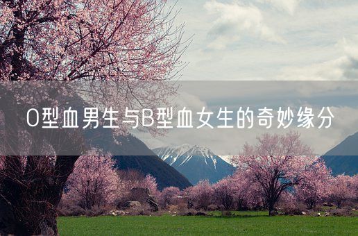 O型血男生与B型血女生的奇妙缘分(图1)