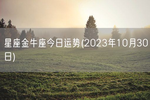 星座金牛座今日运势(2023年10月30日) (图1)