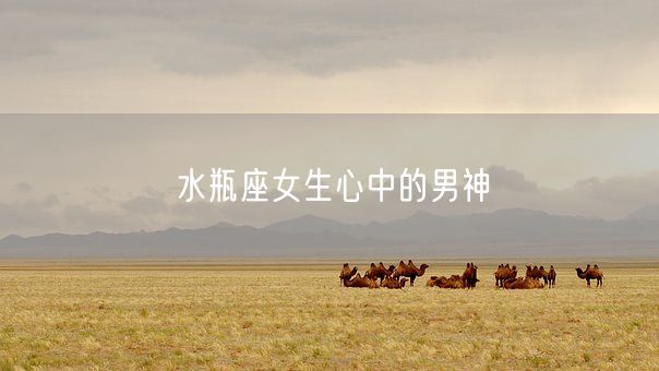 水瓶座女生心中的男神(图1)